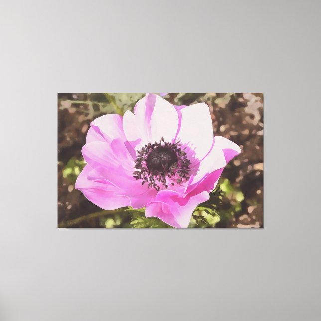 Artistic Pastel Pink Anemone Wildflower Canvas Print (Front)