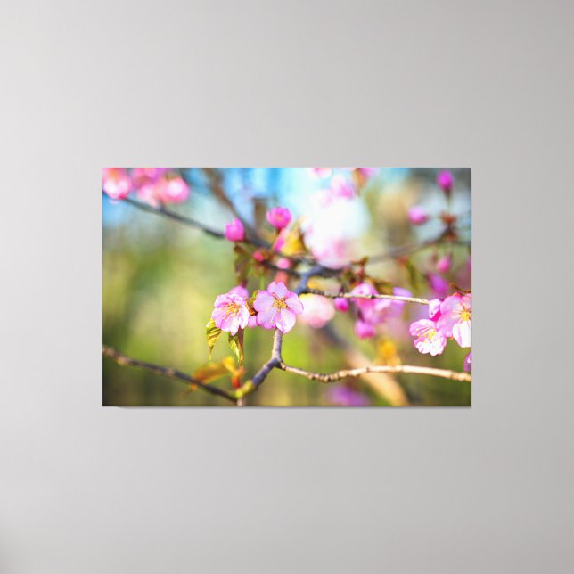 Artistic Pink Sakura Flowers In The Cherry Garden Canvas Print (Front)