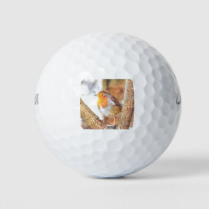 Artistic Robin Redbreast Perched  Golf Balls