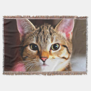 Artistic Tabby Cat Kitten Portrait Throw Blanket
