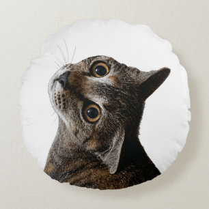 Artistic Tabby Cat Portrait Photo Round Pillow