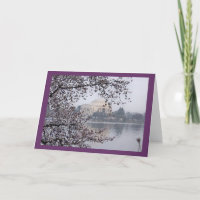 Artistic view of Cherry Blossoms at Tidal Basin