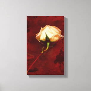 Artistic White Rose Canvas Wrap Print