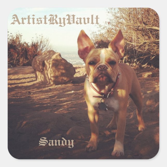 ArtistRyVavlt Sandy Sticker (Front)