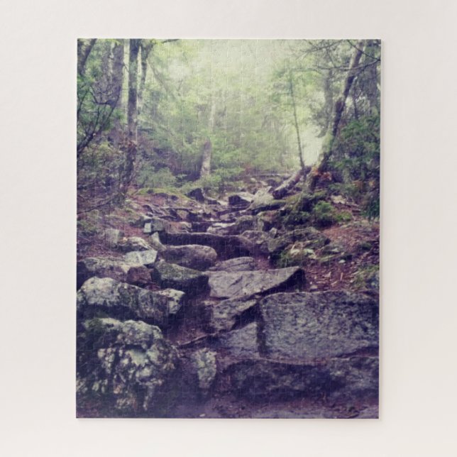 Artist's Bluff Rocky Hiking Trail in New Hampshire Jigsaw Puzzle (Vertical)