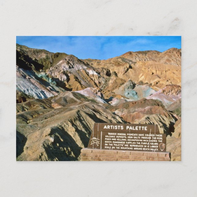 Artist's Palette Postcard (Front)