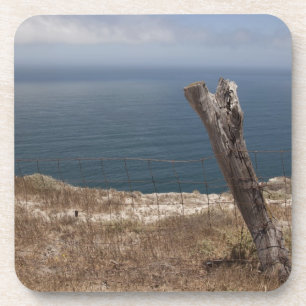 Artist's Retreat Coaster