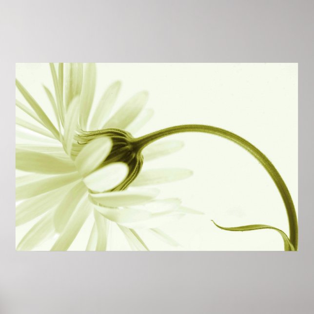 Artless Poster (Front)