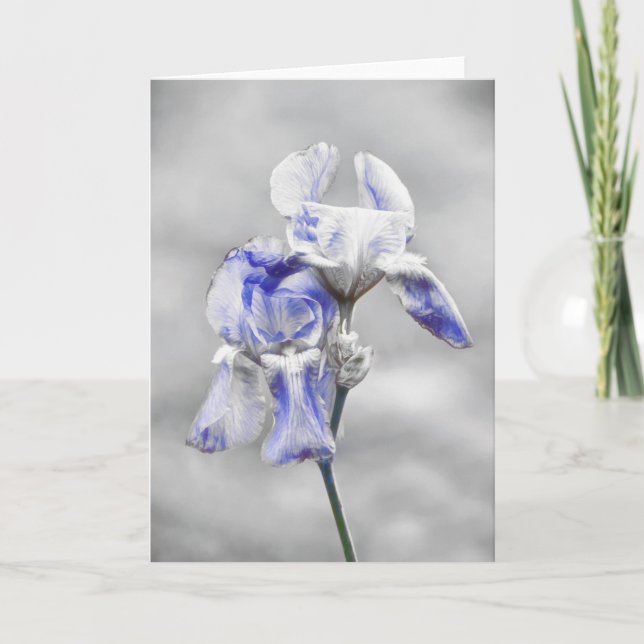 Artsy Blue Grey Iris Flower Portrait Art Card (Front)