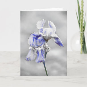 Artsy Blue Grey Iris Flower Portrait Art Card