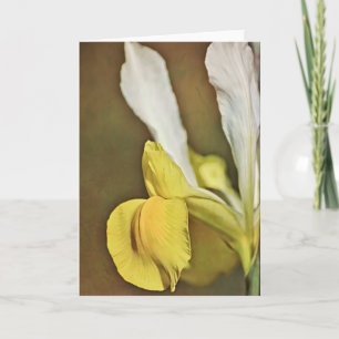 Artsy Dutch Iris Flower Note Card