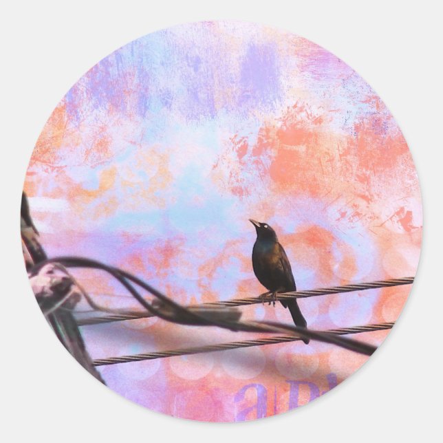 Artsy Grackle Classic Round Sticker (Front)