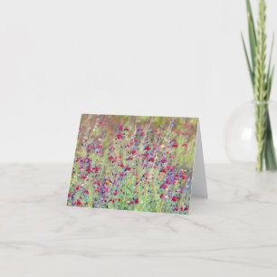 Artsy Meadow Wild Flowers Art Note Card
