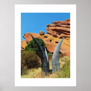 Artwork in Red Rocks park Poster
