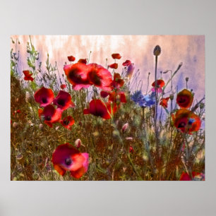 Arty poppies poster