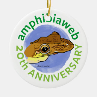 #ArtYourAmphibian2020 - E. Anne Chambers - Diaglen Ceramic Ornament