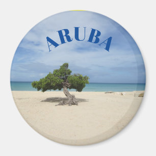 Aruba Beach Magnet