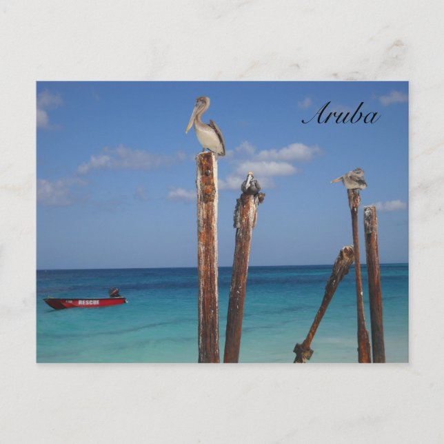 Aruba, Blue Skies in Paradise Postcard (Front)