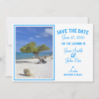 Aruba Destination Wedding Blue Divi Tree