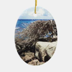 Aruba Divi Divi Tree At The Ocean Ceramic Ornament