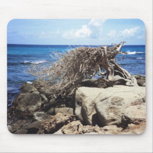 Aruba Divi Divi Tree At The Ocean Mouse Pad