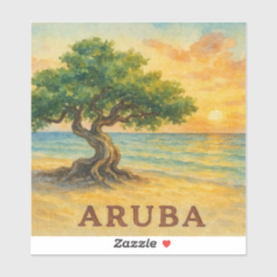 Aruba Eagle Beach Divi Tree Golden Hour