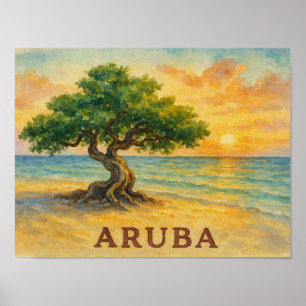 Aruba Eagle Beach Divi Tree Golden Hour Poster