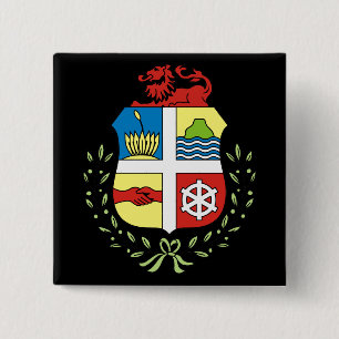 aruba emblem 2 inch square button