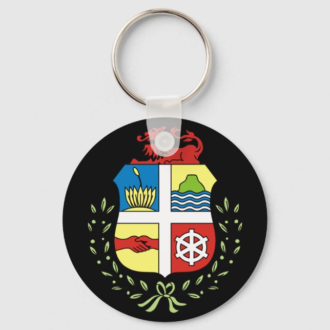 aruba emblem keychain (Front)