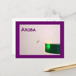 Aruba Gecko Postcard