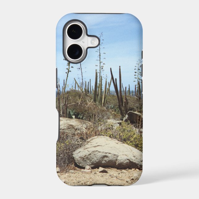 Aruba Landscape With Cactus (Back)