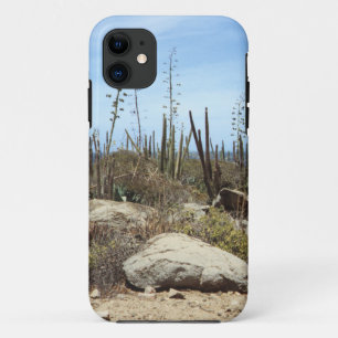 Aruba Landscape With Cactus iPhone 11 Case