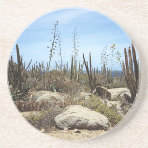 Aruba Landscape With Cactus Coaster