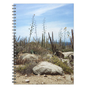 Aruba Landscape With Cactus Notebook