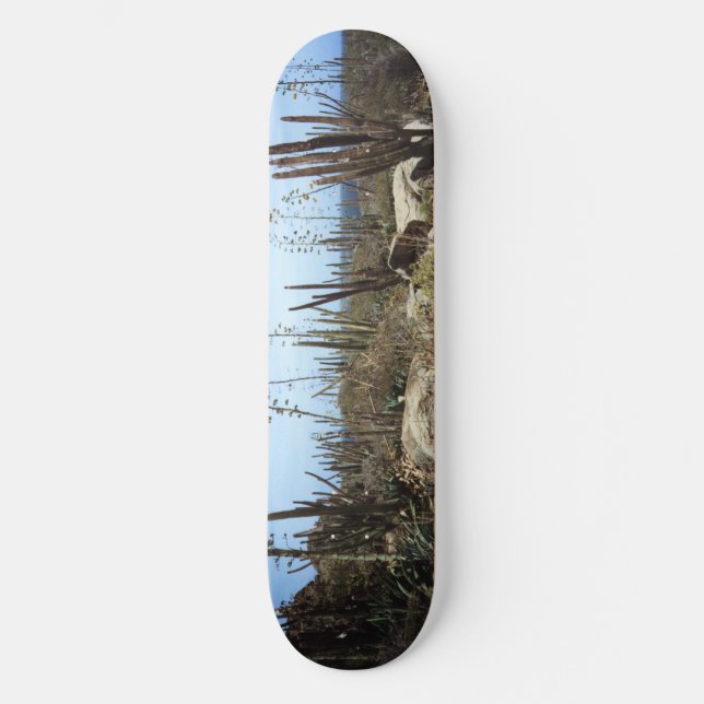 Aruba Landscape With Cactus Skateboard (Front)