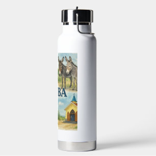 Aruba multiview watercolor water bottle
