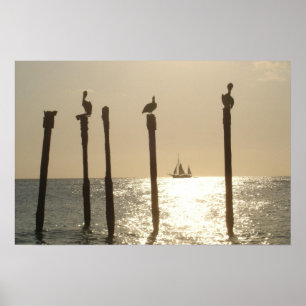 Aruba Poster