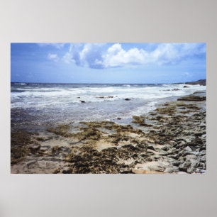Aruba Rocky Ocean Poster