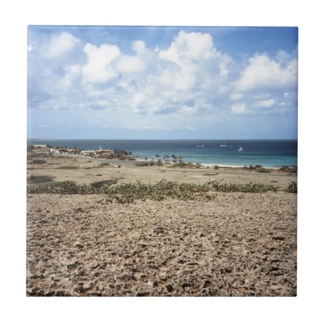 Aruba Rocky Ocean View Tile (Front)