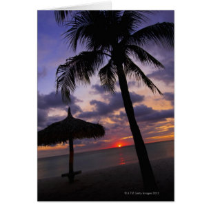Aruba, silhouette of palm tree and palapa
