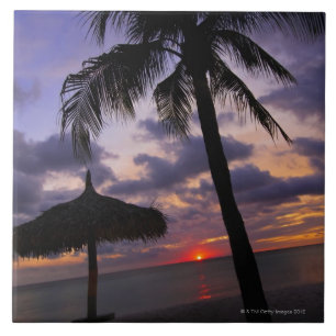 Aruba, silhouette of palm tree and palapa on tile