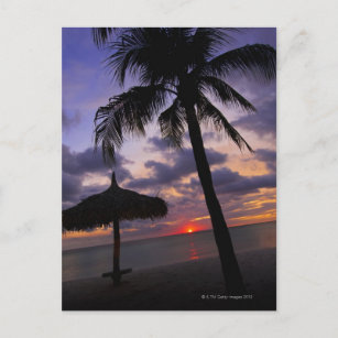 Aruba, silhouette of palm tree and palapa postcard