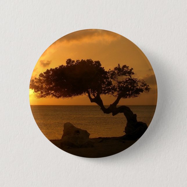 Aruba Sunset Divi Divi Tree 2 Inch Round Button (Front)