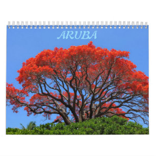 Aruba une île heureuse calendrier