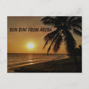 Aruba with sunset over water and palm tree postcard