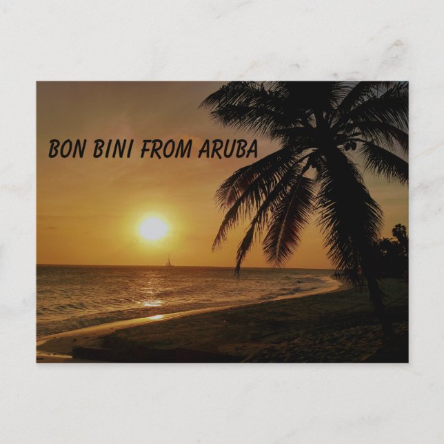 Aruba with sunset over water and palm tree postcard (Front)