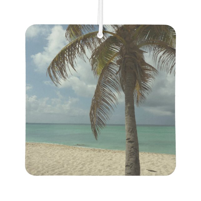 Aruban Beach I Beautiful Nature Scene Air Freshener (Front)
