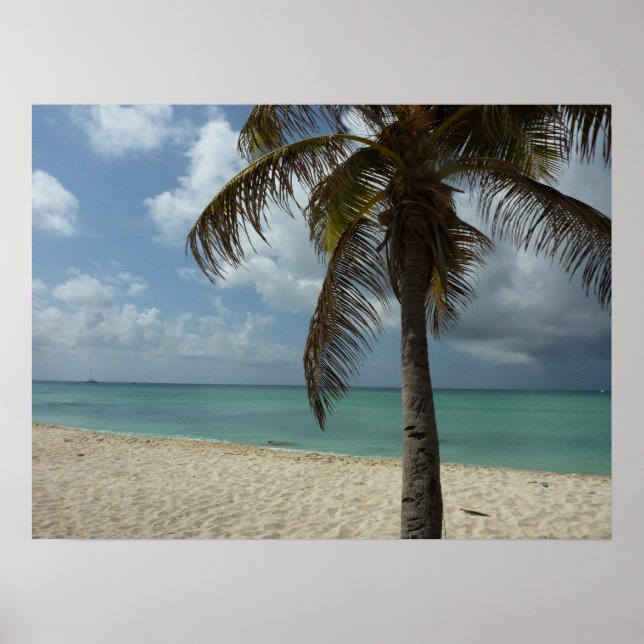 Aruban Beach I Beautiful Nature Scene Poster (Front)