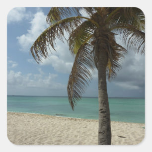 Aruban Beach I Beautiful Nature Scene Square Sticker