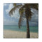 Aruban Beach I Beautiful Nature Scene